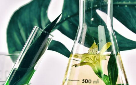Chemberry makes it easier for beauty brands to find more sustainable cosmetic ingredients