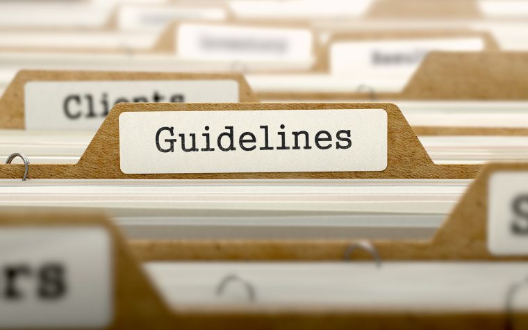 document guidelines