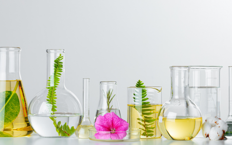 Let’s talk about microalgae, biotech and sustainability – Q&A with Greentech
