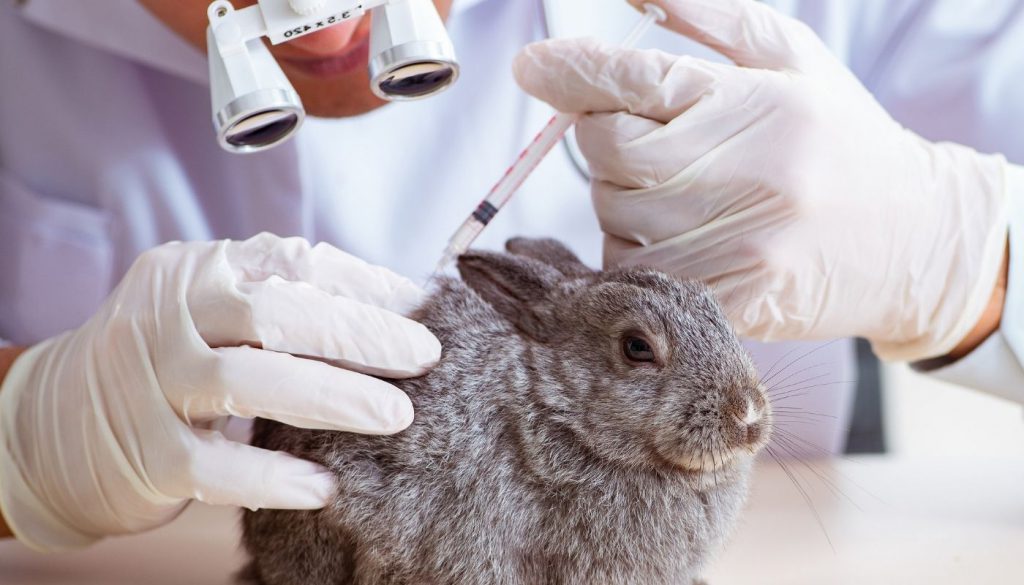 Two Policy Shifts Towards Animal Testing In China s Cosmetic Sector 