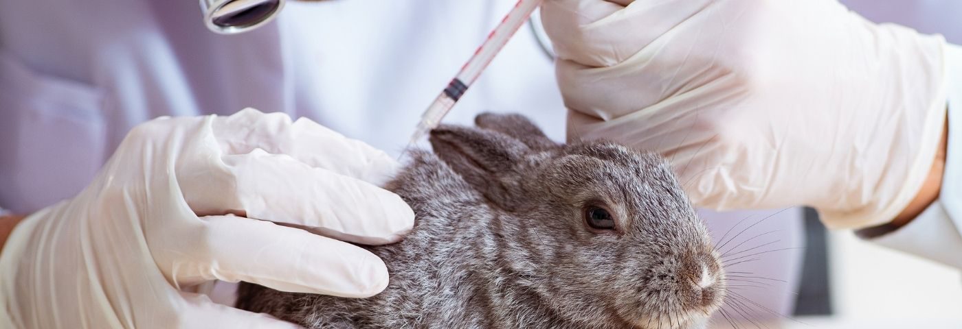 Two policy shifts towards animal testing in China’s cosmetic sector