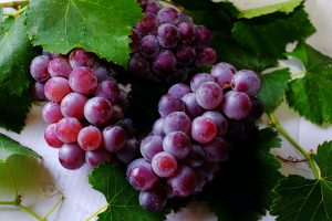 extrato de semente de uva