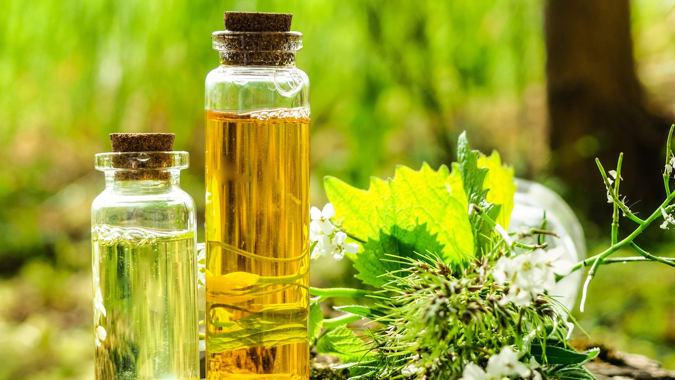 Herbal extract skincare