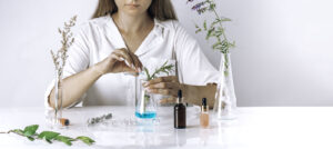 Herbal plants for cosmetics