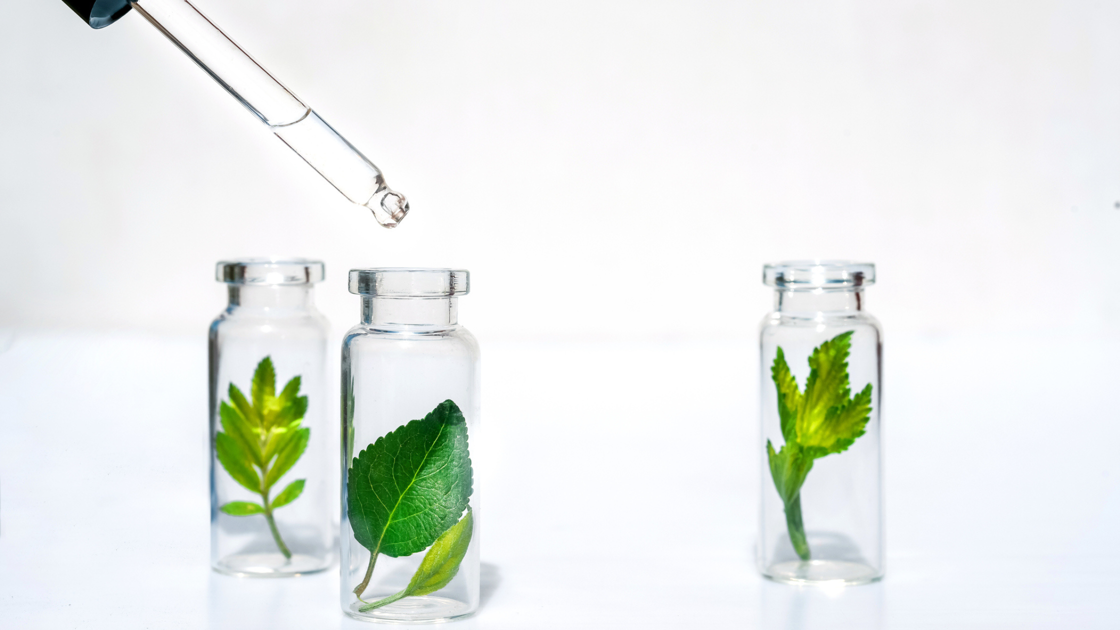 Small Pyrex Measuring Cup Eco Evolution