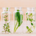 in-cosmetics Asia 2025 to unveil breakthrough ingredient innovations