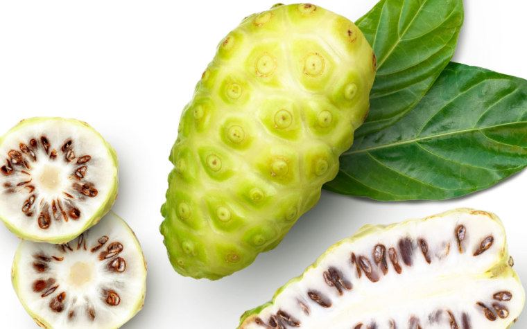 Noni fruit for microbiome advances