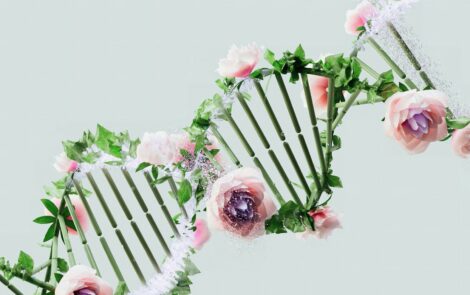 Biotech beauty 2.0: Why sustainability is the new luxury