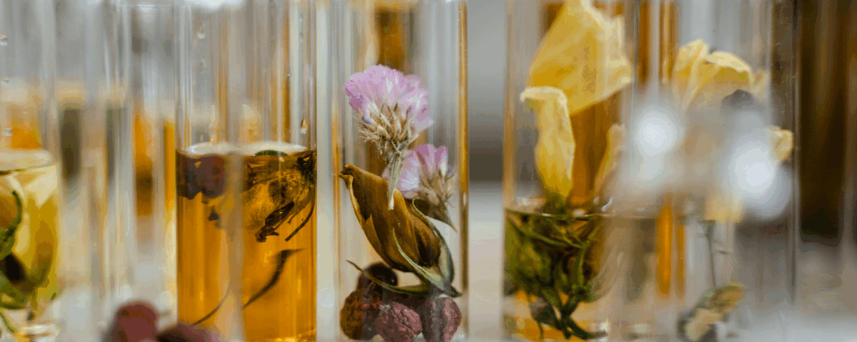 Economia regenerativa na indústria cosmética – Os métodos de extração que vão redefinir a beleza do futuro