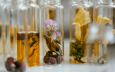 Economia regenerativa na indústria cosmética – Os métodos de extração que vão redefinir a beleza do futuro