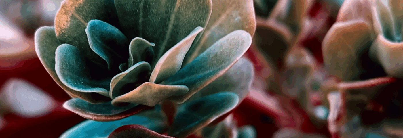 From fermentation to function: Biotech ingredients that actually work