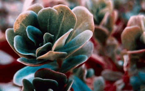 From fermentation to function: Biotech ingredients that actually work